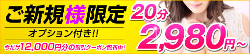 【▼ご新規割引】最安値¥2,980~ご案内!!
